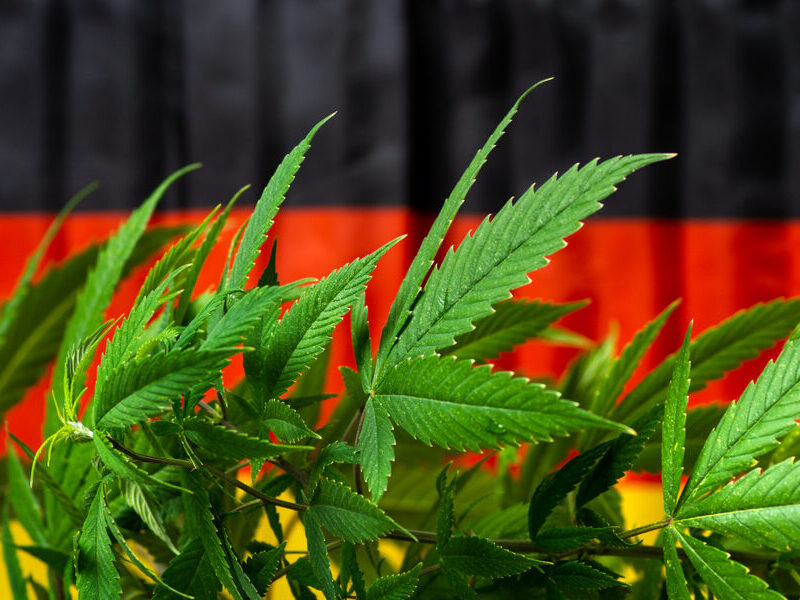 germany-reports-record-cannabis-imports-despite-slow-sales